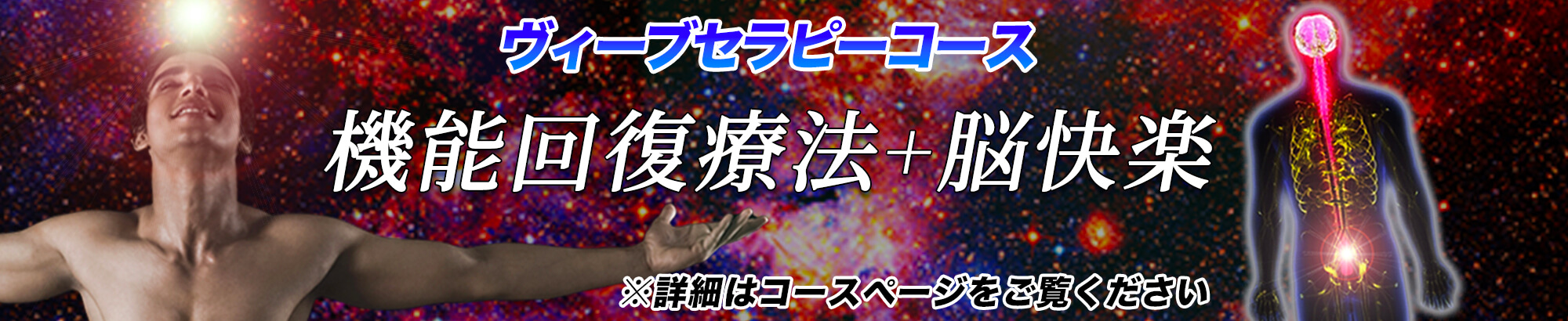 勃起力が蘇るヴィーブセラピー(出張マッサージ委員会)