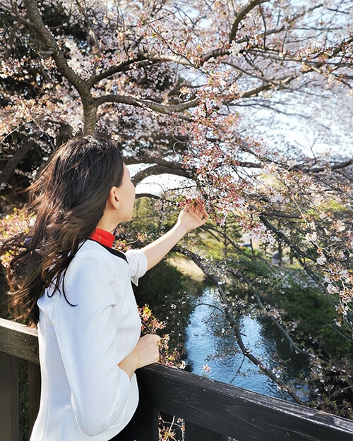 埼玉ツバキ画像6