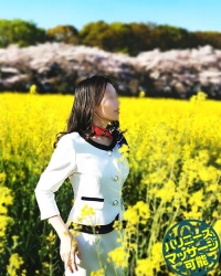 埼玉ツバキイメージ画像